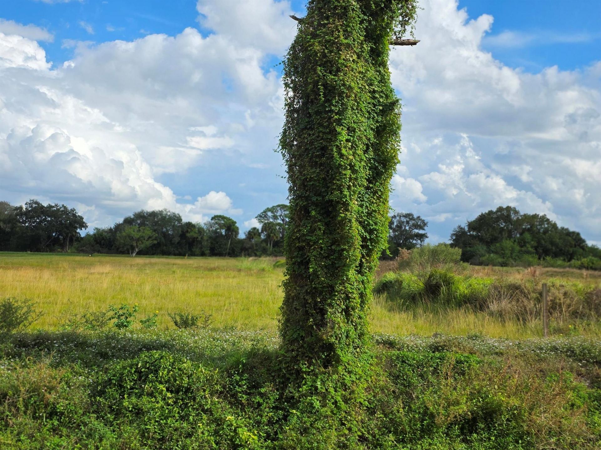 1132 NE 48th Avenue, Okeechobee, FL 34972 Photo