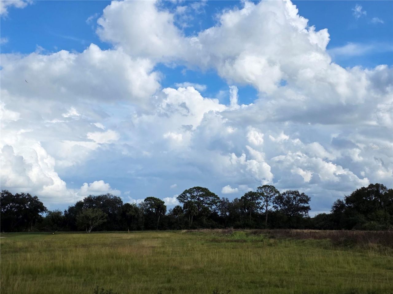 1132 NE 48th Avenue, Okeechobee, FL 34972 Photo