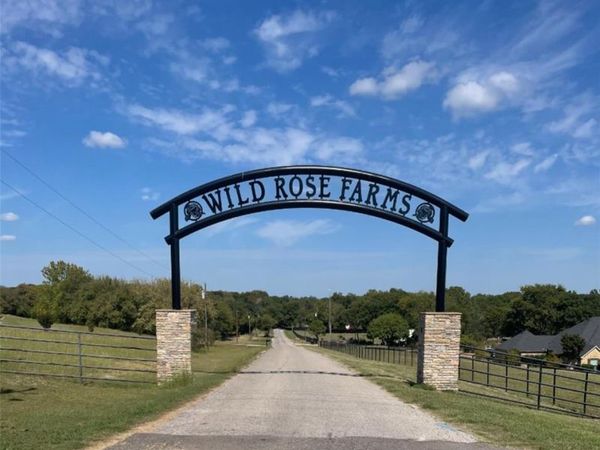 11321 Wild Rose Lane, Anna, TX 75409