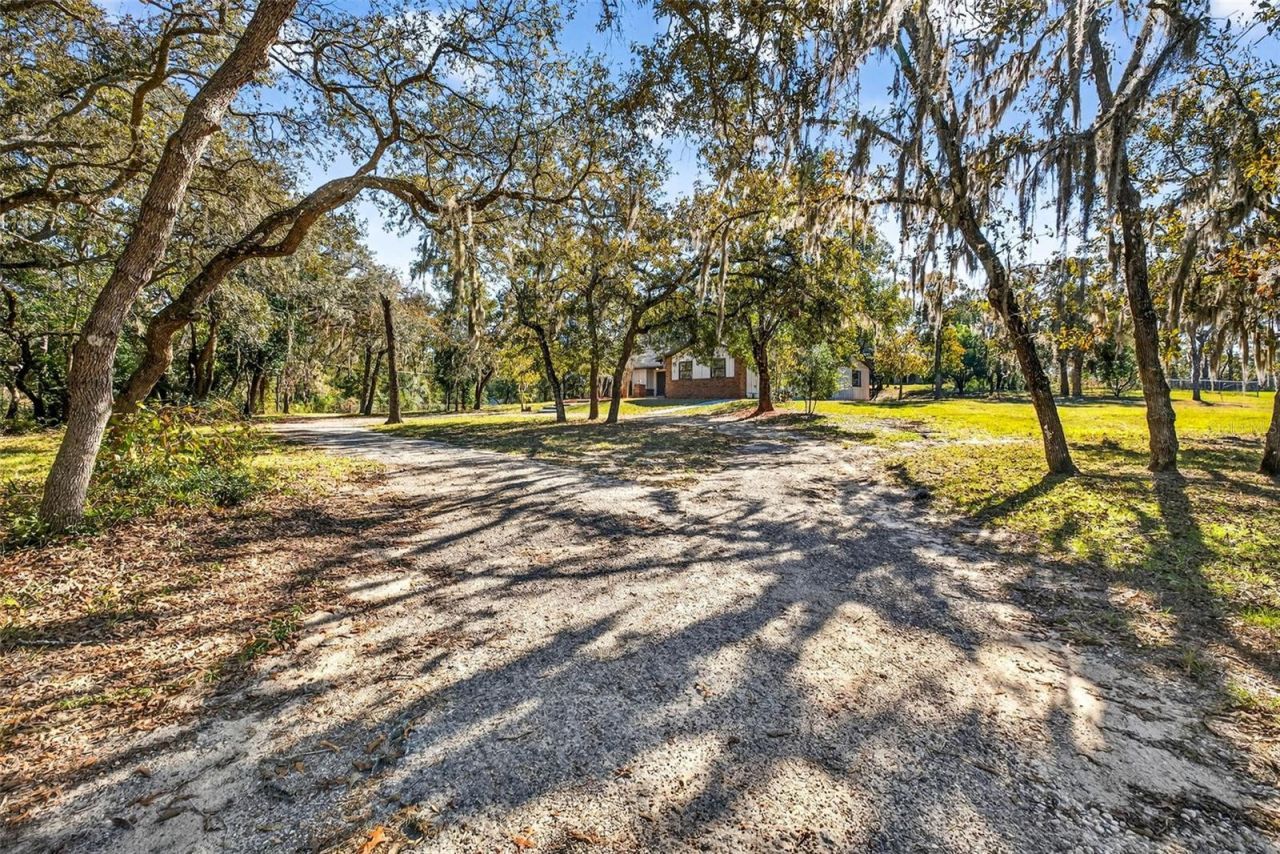 14252 Trinity Road, Brooksville, FL 34614 Main Photo