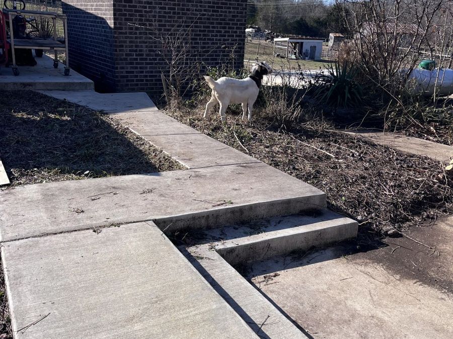 Property Image 85