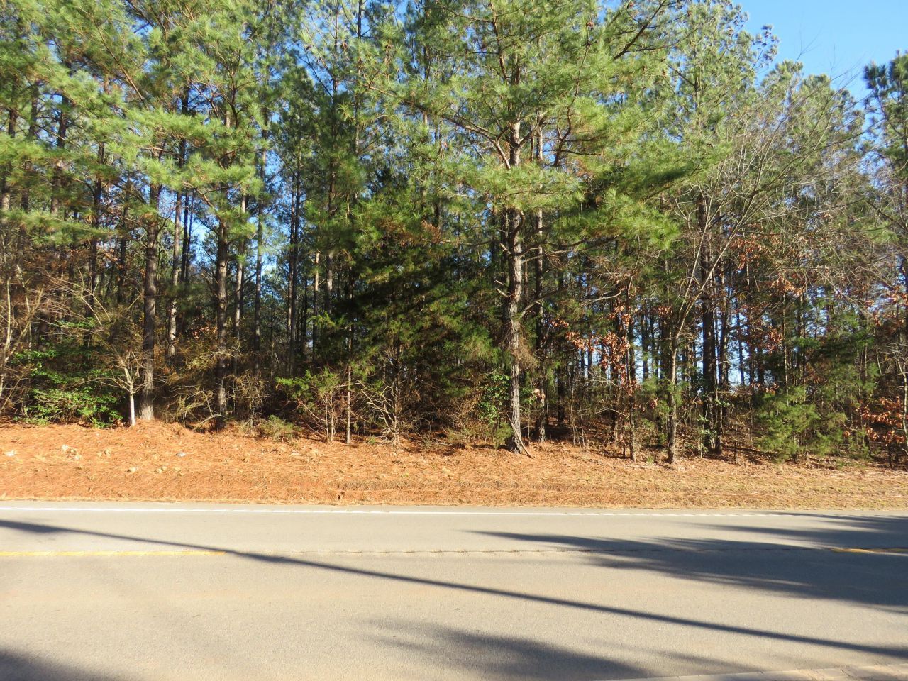 4365 Newberry Highway Photo 12