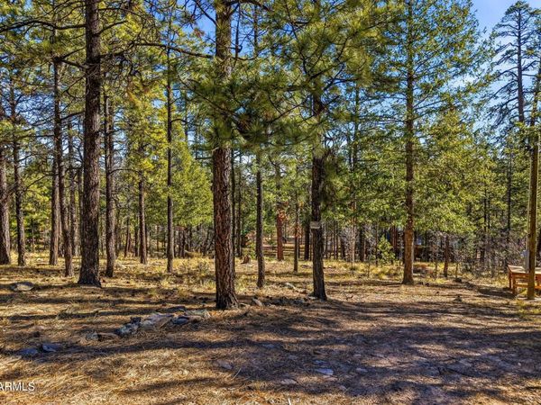20 Co Rd 2067, Unit 114, Alpine, AZ 85920
