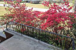 1326 Cedar Terrace photo 4