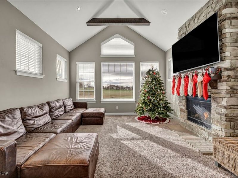 442 Madison Trail, Doylestown, OH 44230 Photo 19