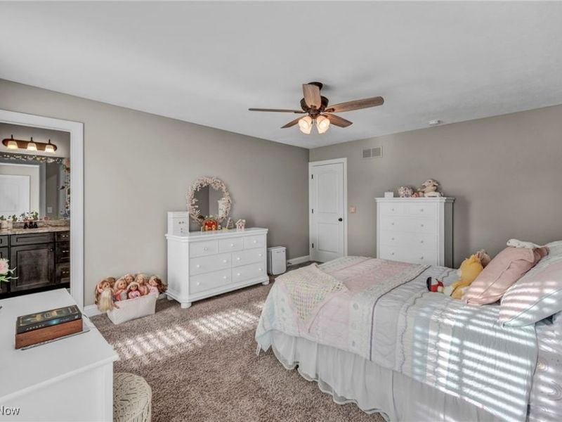 442 Madison Trail, Doylestown, OH 44230 Photo 38