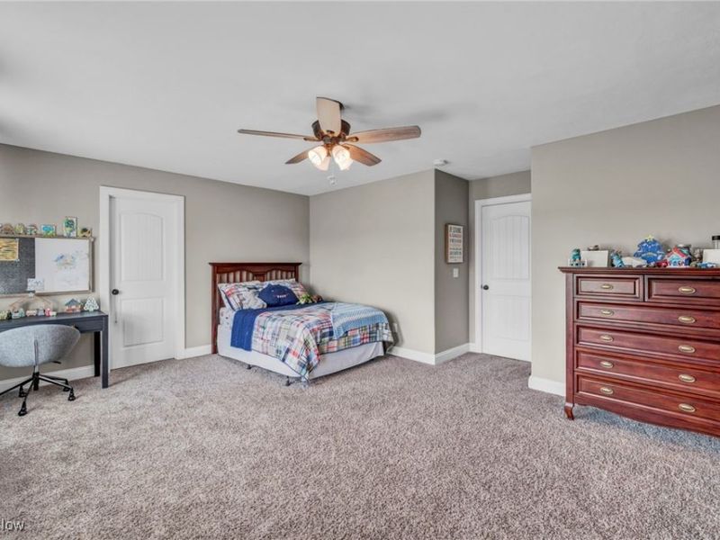 442 Madison Trail, Doylestown, OH 44230 Photo 39