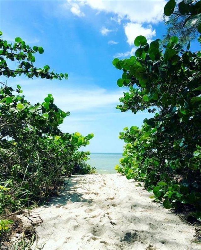 975 9th Ave S, Unit 5, Naples, FL 34102 Photo