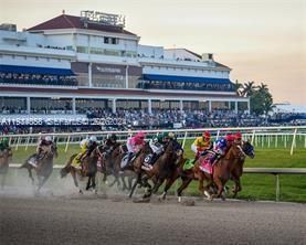 329 SE 3rd St, Unit 502S, Hallandale Beach, FL 33009 Photo