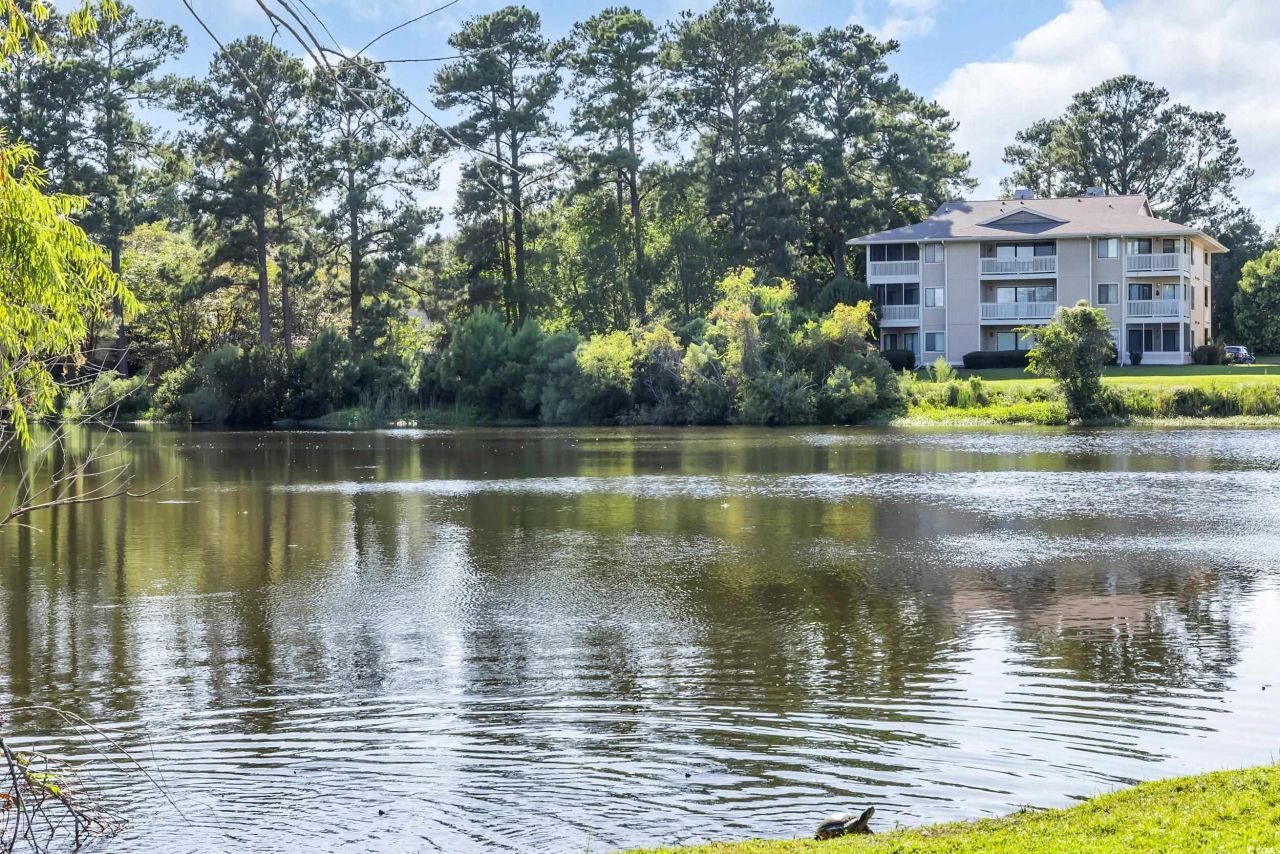 4207 Pinehurst Circle Photo 38