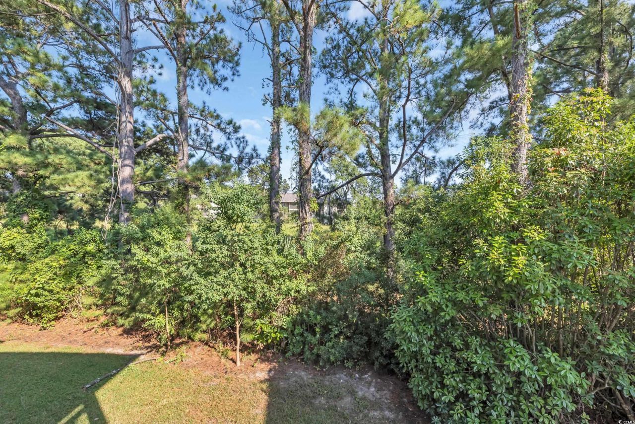 4207 Pinehurst Circle Photo 39