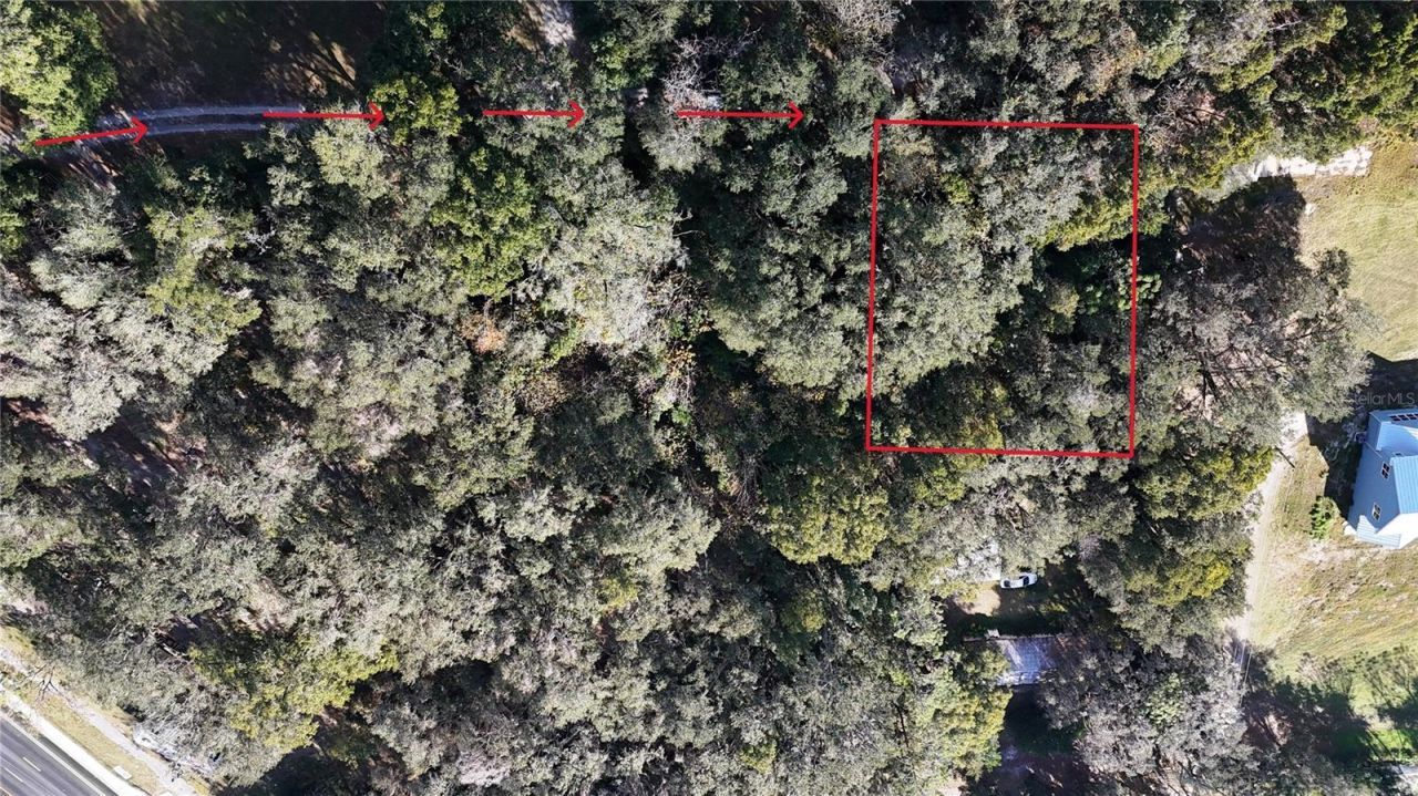 Orange Street, Lady Lake, FL 32159 Photo