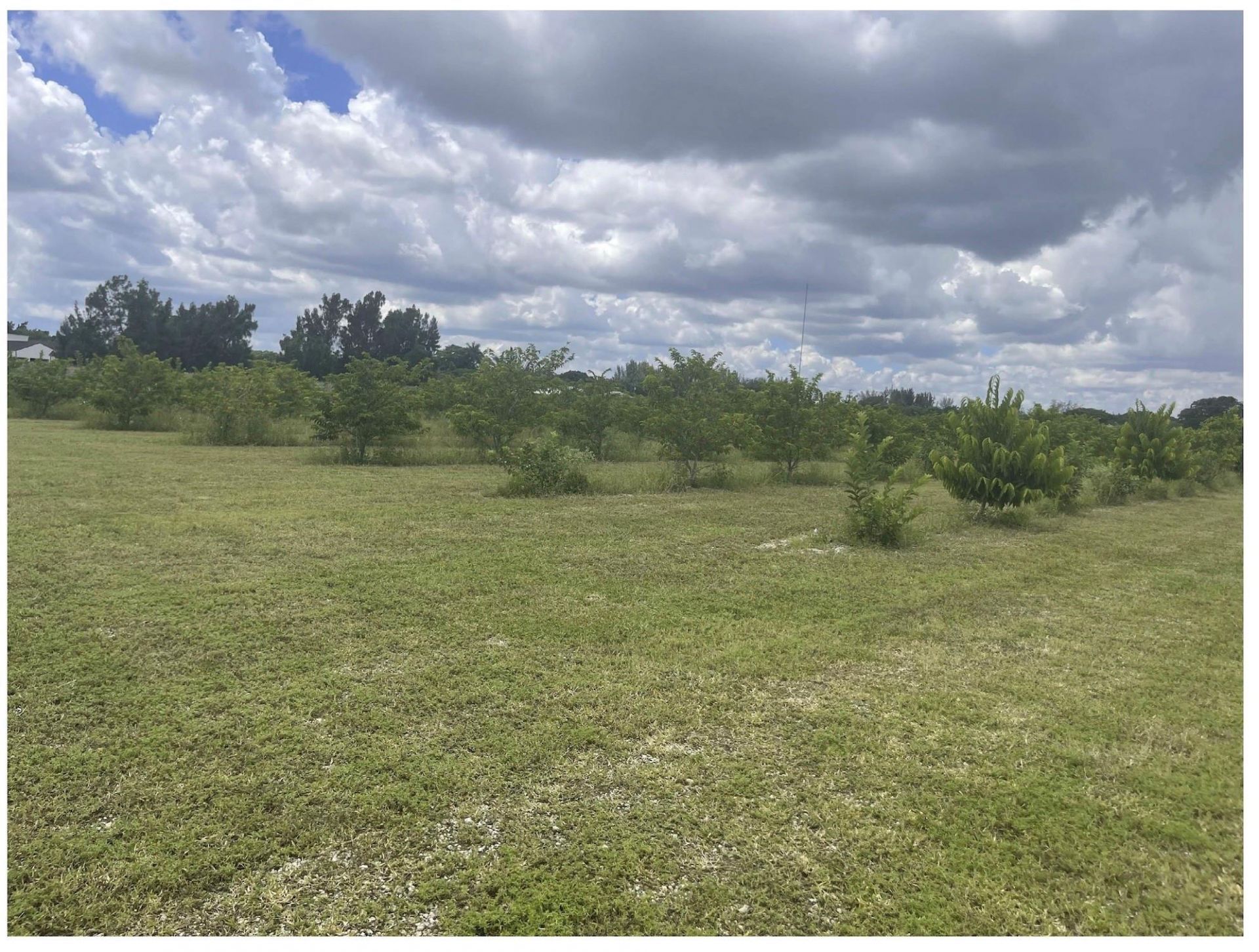 149xx SW 149xx 224 Street, Miami, FL 33170 Photo