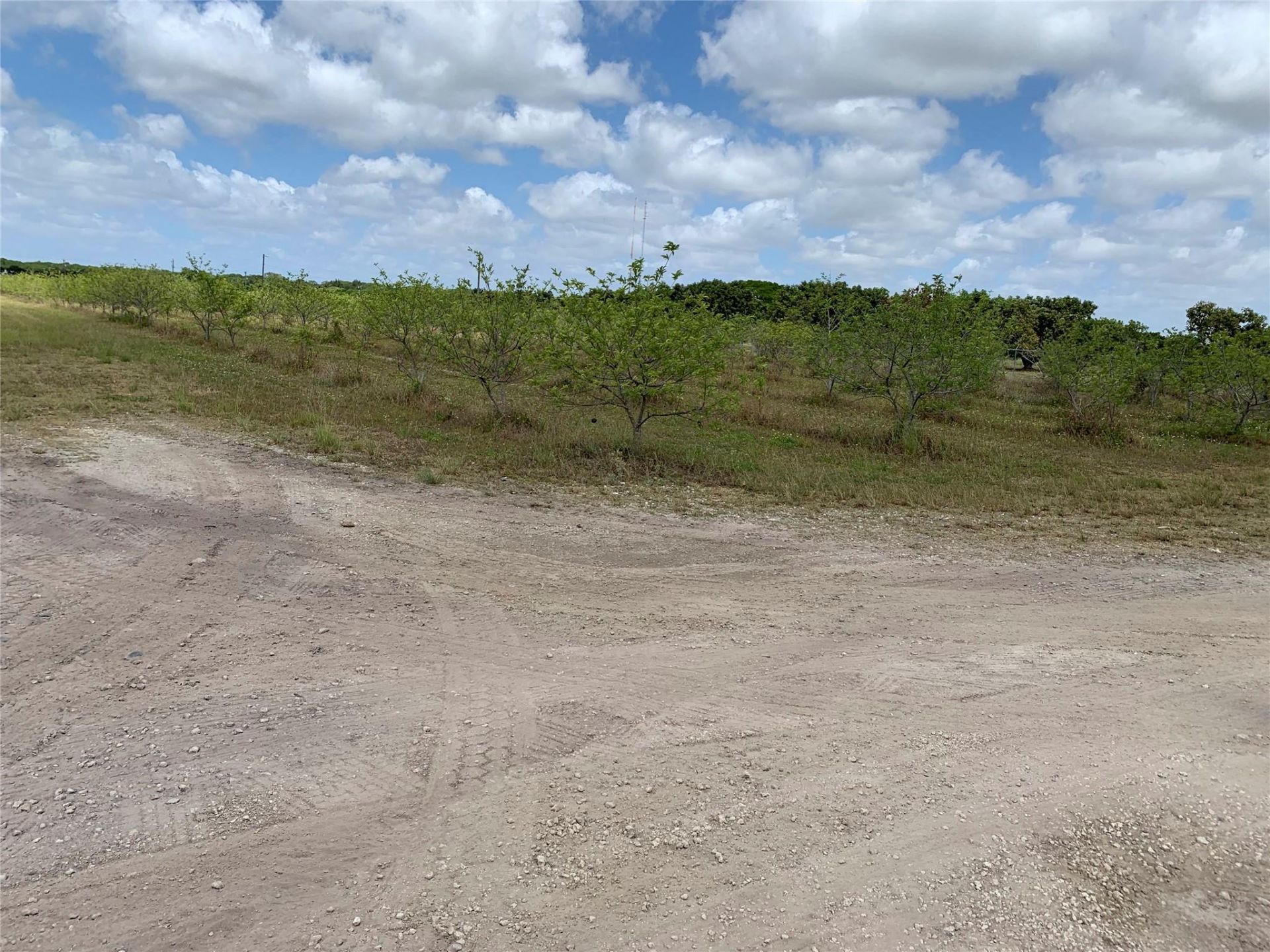 149xx SW 149xx 224 Street, Miami, FL 33170 Photo