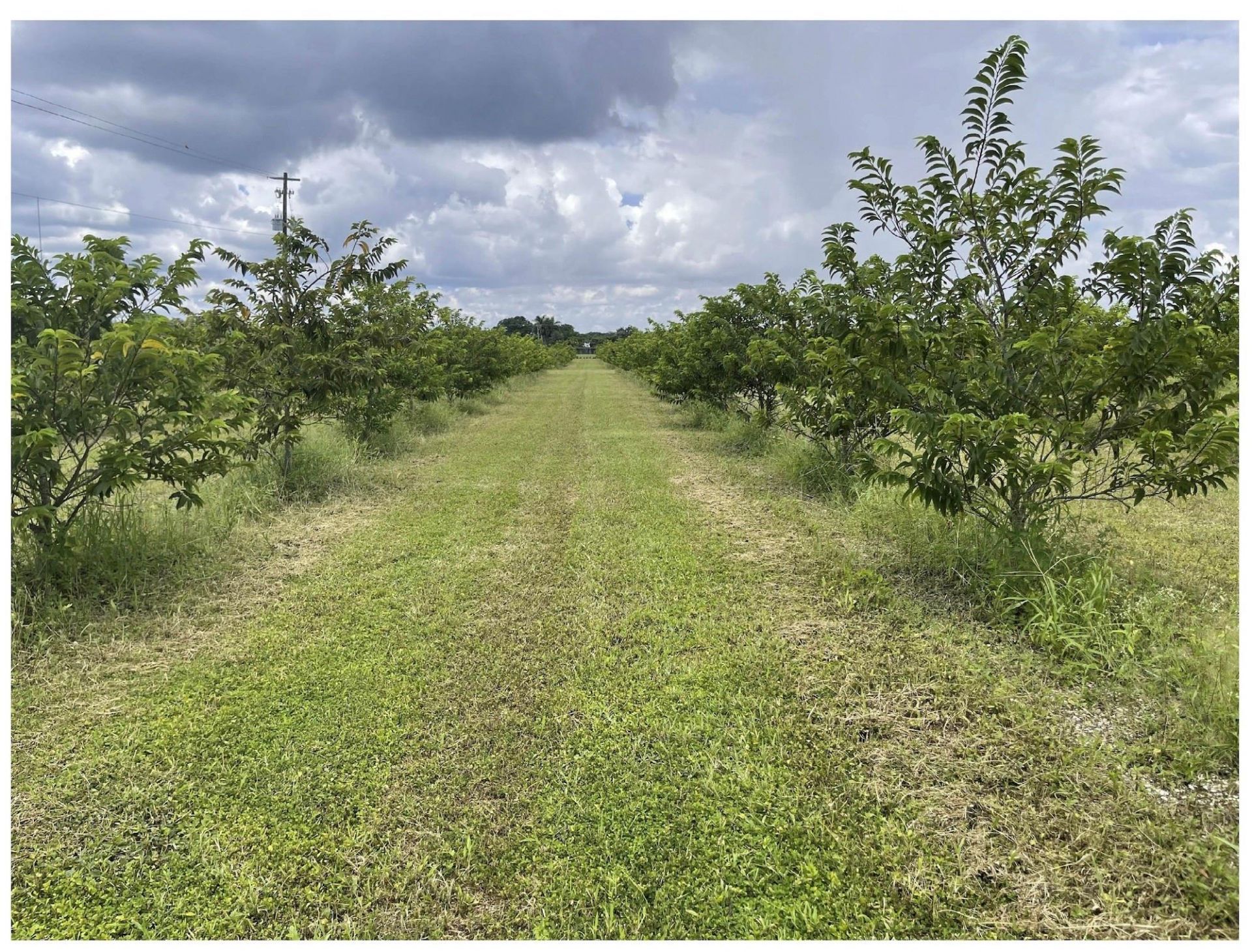 149xx SW 149xx 224 Street, Miami, FL 33170 Photo