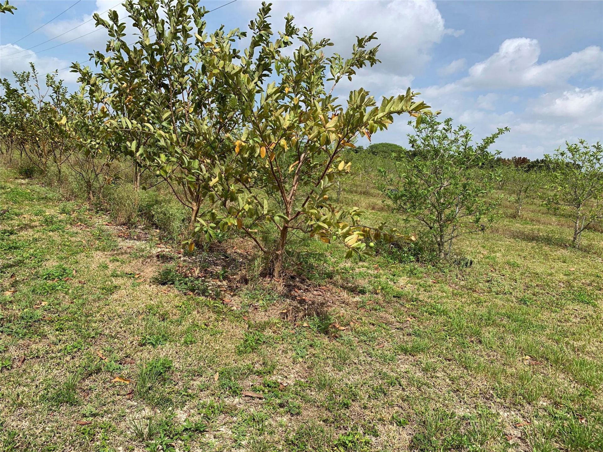 149xx SW 149xx 224 Street, Miami, FL 33170 Photo