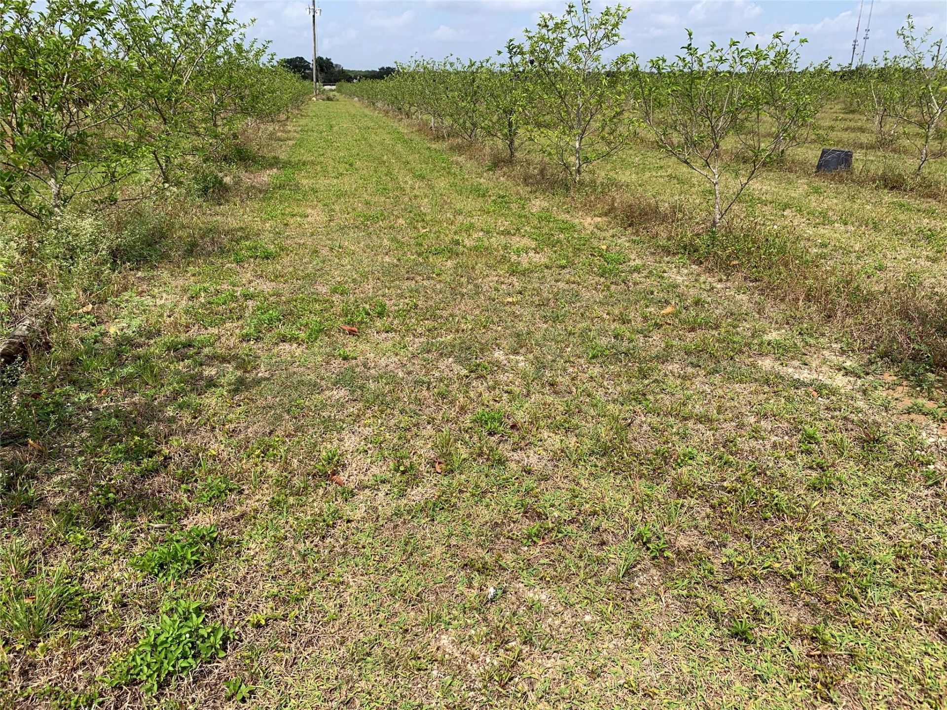 149xx SW 149xx 224 Street, Miami, FL 33170 Photo