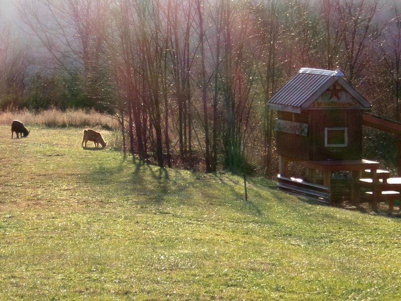 1078 Hamilton Road, Brooksville, KY 41004 Photo 19