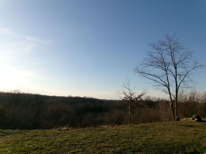 1078 Hamilton Road, Brooksville, KY 41004 Photo 22