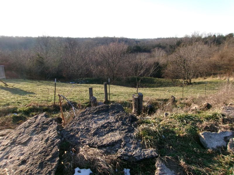 1078 Hamilton Road, Brooksville, KY 41004 Photo 23