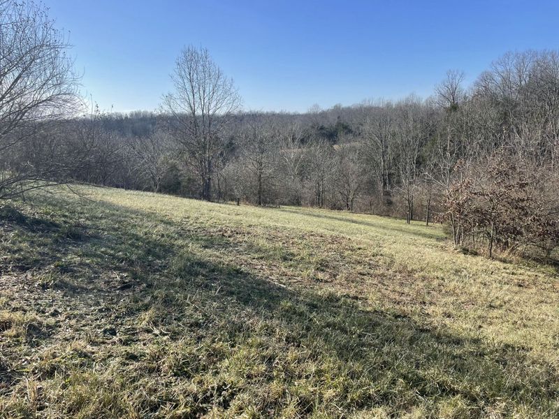 1078 Hamilton Road, Brooksville, KY 41004 Photo 30