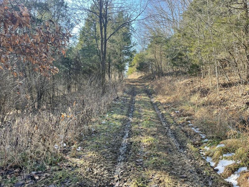 1078 Hamilton Road, Brooksville, KY 41004 Photo 31