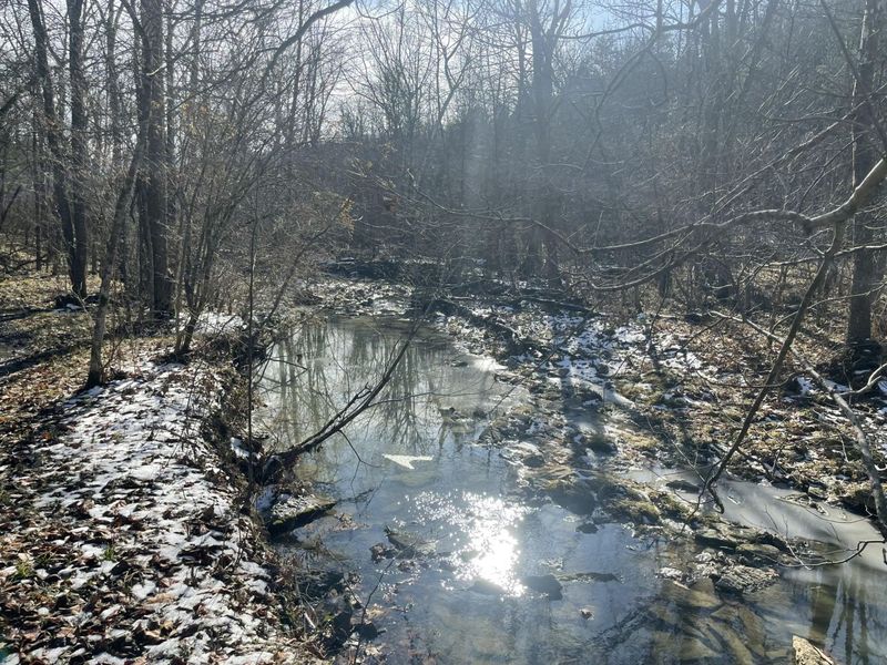 1078 Hamilton Road, Brooksville, KY 41004 Photo 33