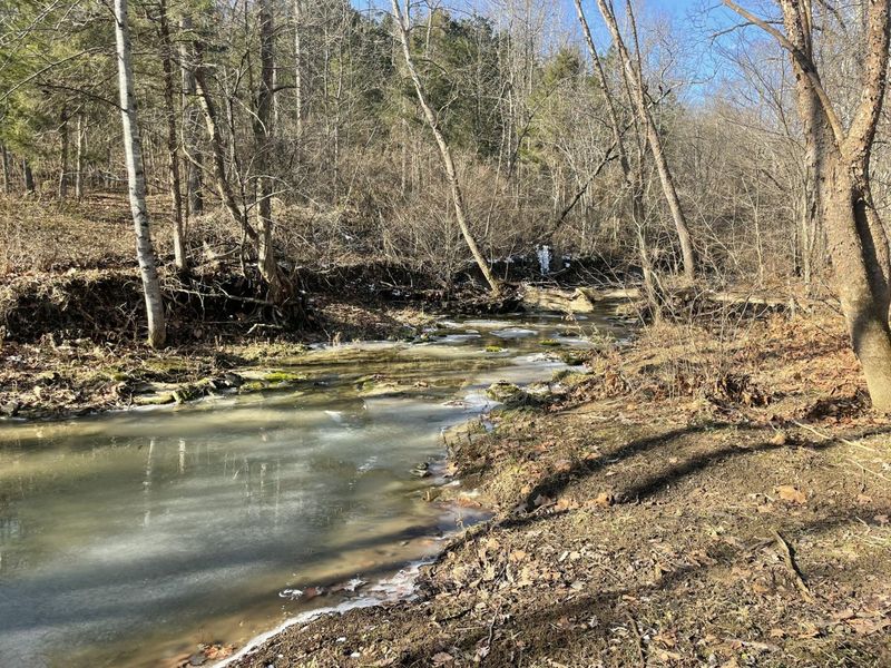 1078 Hamilton Road, Brooksville, KY 41004 Photo 34