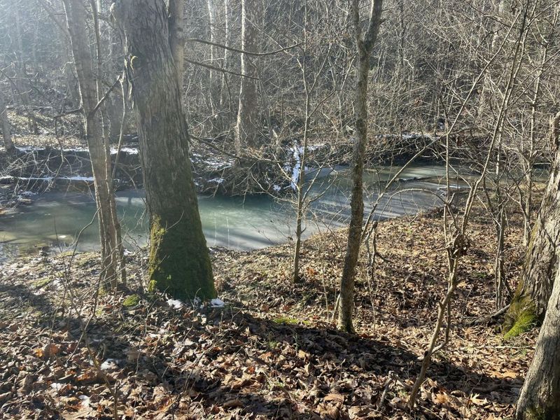 1078 Hamilton Road, Brooksville, KY 41004 Photo 38