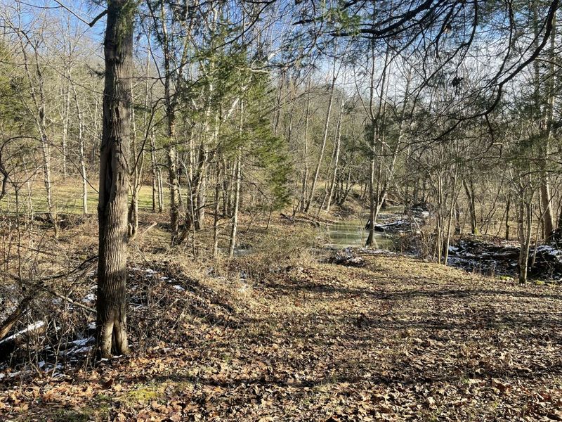 1078 Hamilton Road, Brooksville, KY 41004 Photo 39