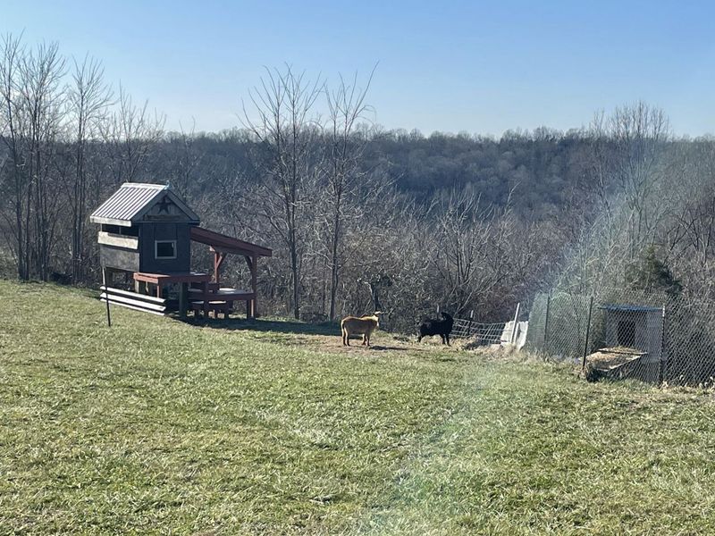 1078 Hamilton Road, Brooksville, KY 41004 Photo 41