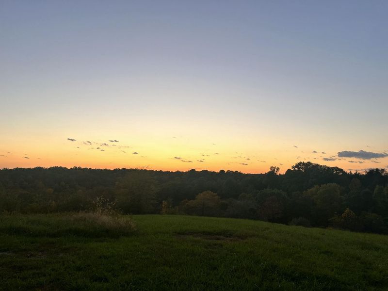 1078 Hamilton Road, Brooksville, KY 41004 Photo 45