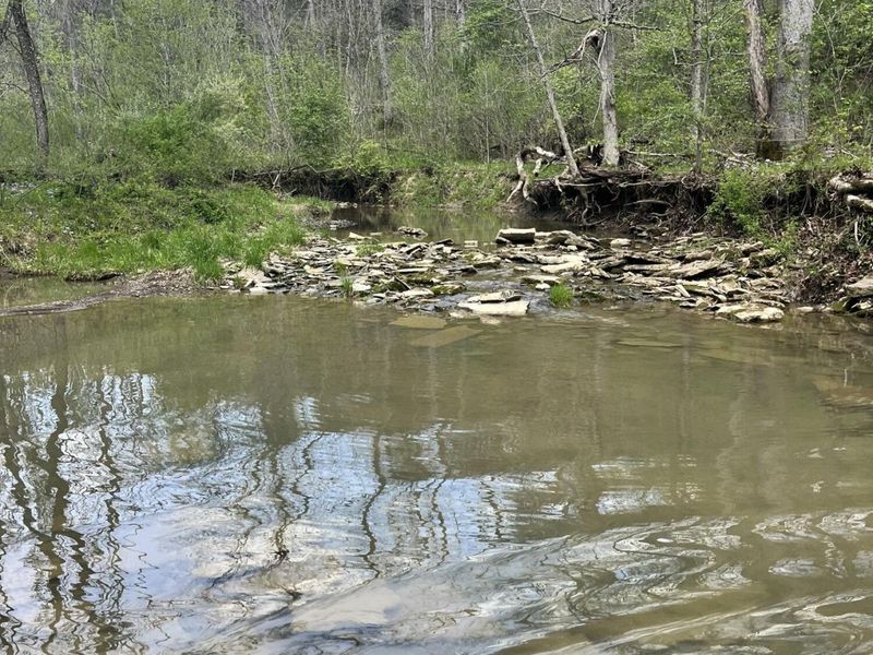 1078 Hamilton Road, Brooksville, KY 41004 Photo 46