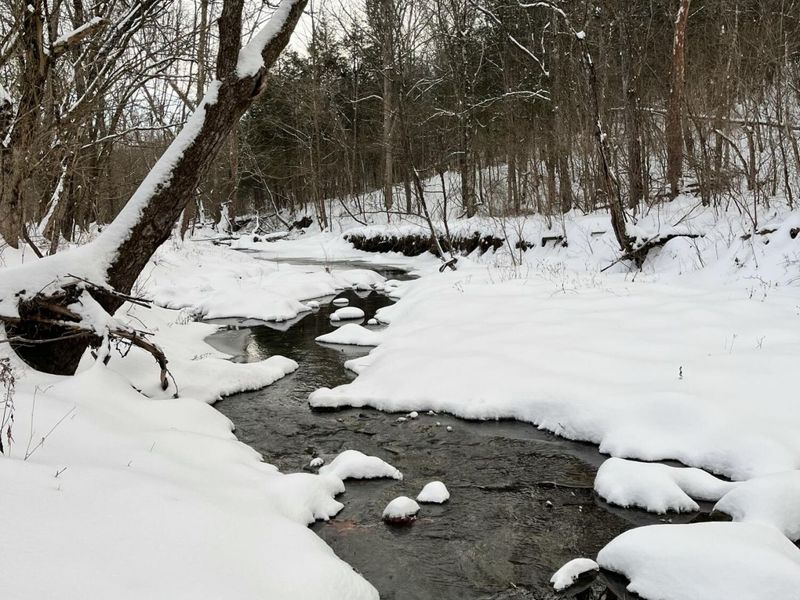 1078 Hamilton Road, Brooksville, KY 41004 Photo 48