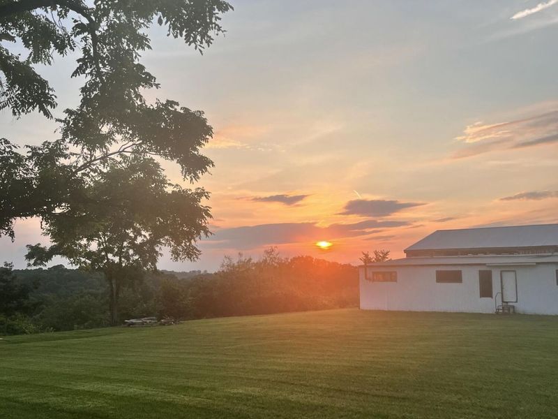 1078 Hamilton Road, Brooksville, KY 41004 Photo 49