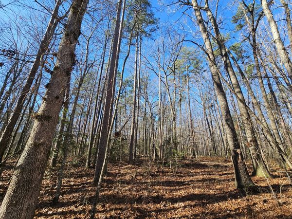 3 Savage Highland Drive , Coalmont, TN 37313