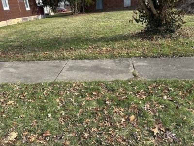 V/L S Freedom Avenue, Alliance, OH 44601 Photo 2