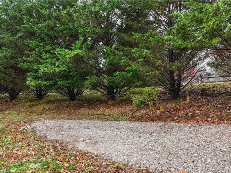 169 Kinderhook Ridge Road, Newport, OH 45768 Photo 13