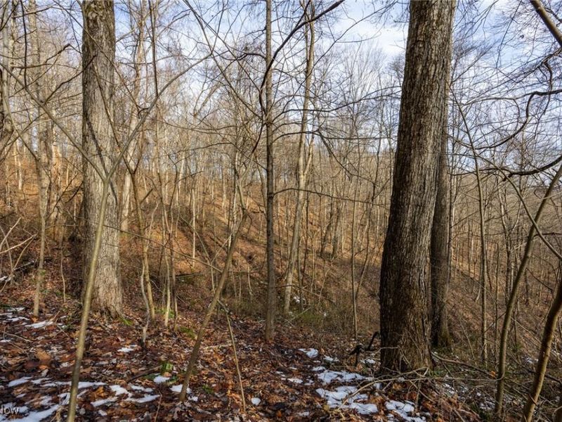 169 Kinderhook Ridge Road, Newport, OH 45768 Photo 14