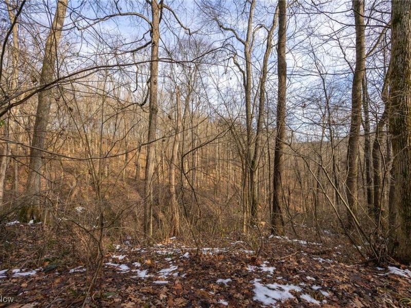 169 Kinderhook Ridge Road, Newport, OH 45768 Photo 15