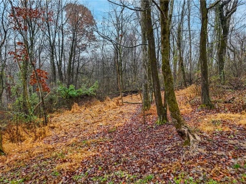 169 Kinderhook Ridge Road, Newport, OH 45768 Photo 16