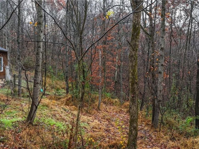 169 Kinderhook Ridge Road, Newport, OH 45768 Photo 17