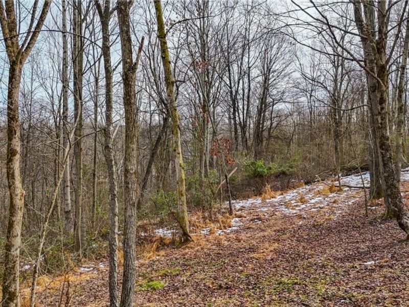 169 Kinderhook Ridge Road, Newport, OH 45768 Photo 31