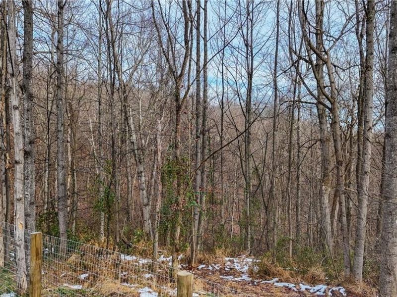 169 Kinderhook Ridge Road, Newport, OH 45768 Photo 32