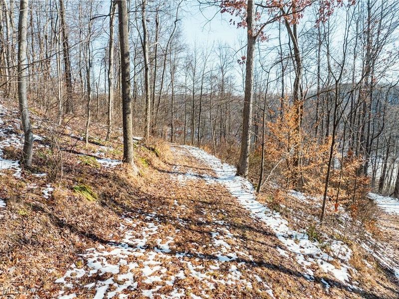 4829 Frys Valley Road SW, Port Washington, OH 43837 Photo 41