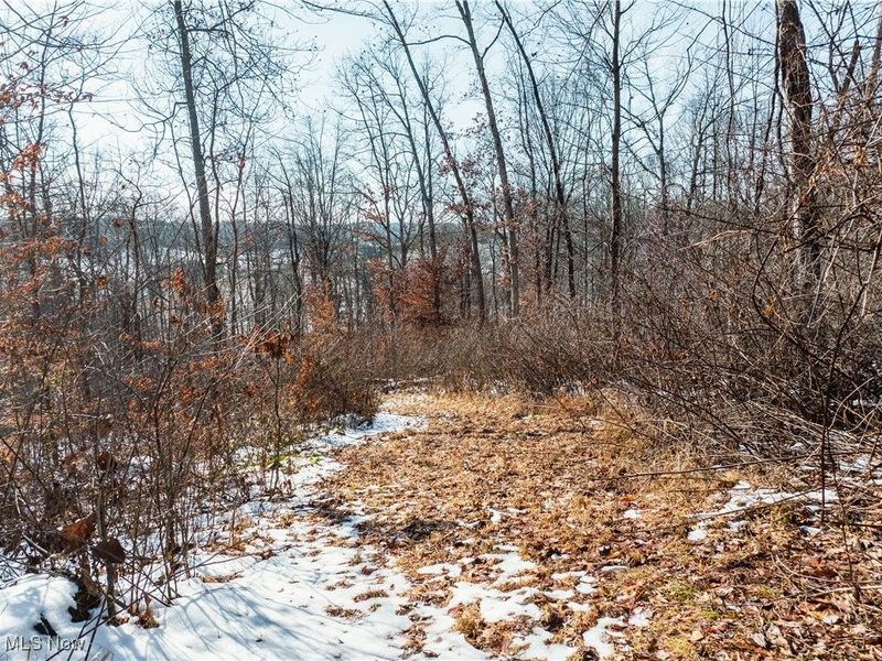 4829 Frys Valley Road SW, Port Washington, OH 43837 Photo 42