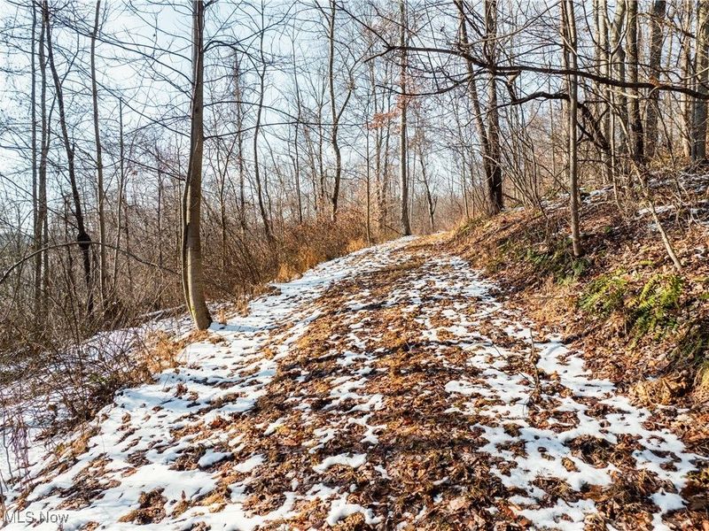 4829 Frys Valley Road SW, Port Washington, OH 43837 Photo 43