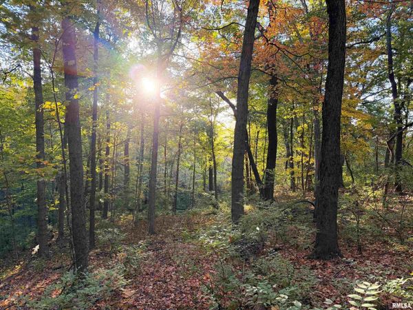 000 W SINGING WOODS Road, Dunlap, IL 61771