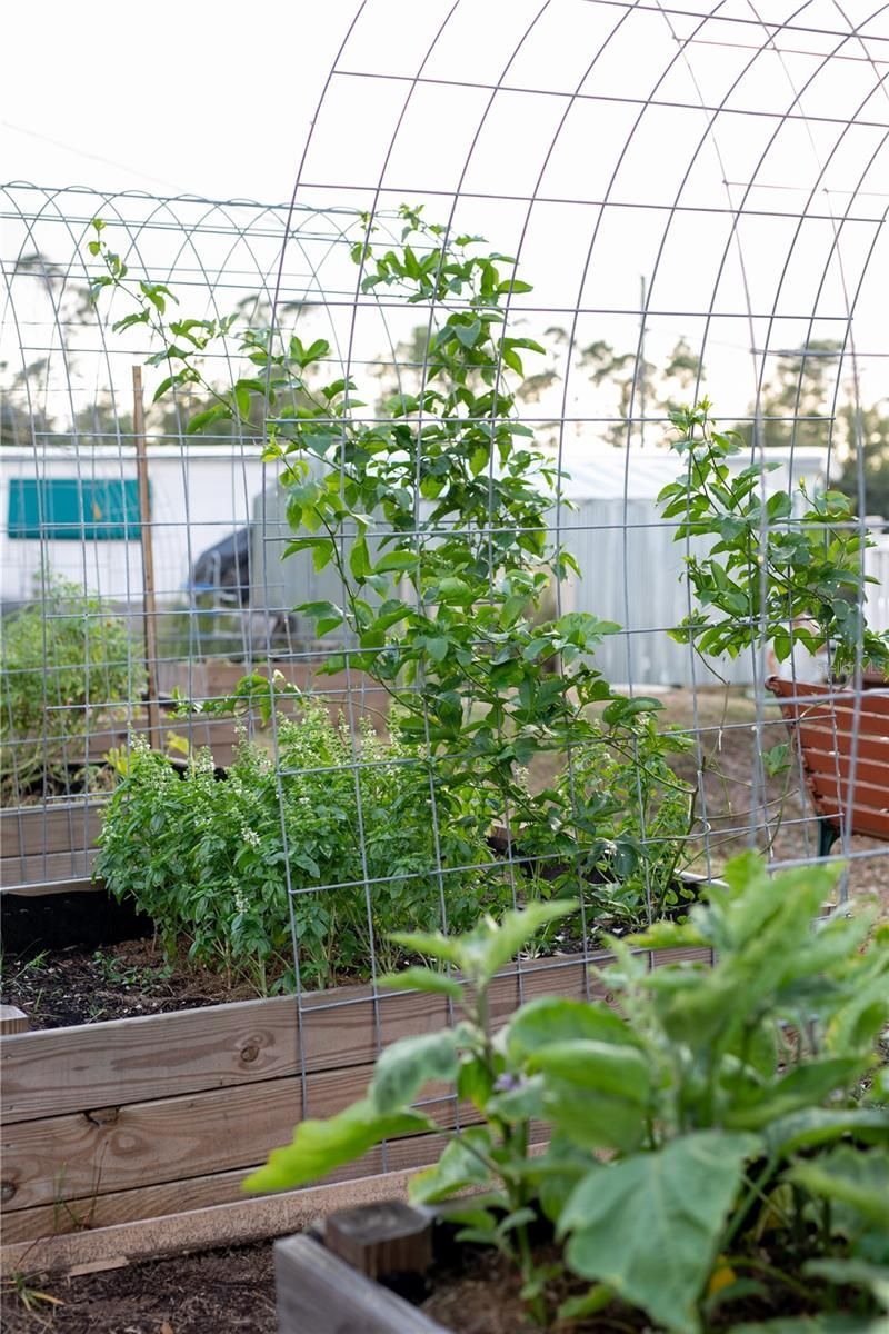 5516 Maze Drive, Punta Gorda, FL 33982 Photo