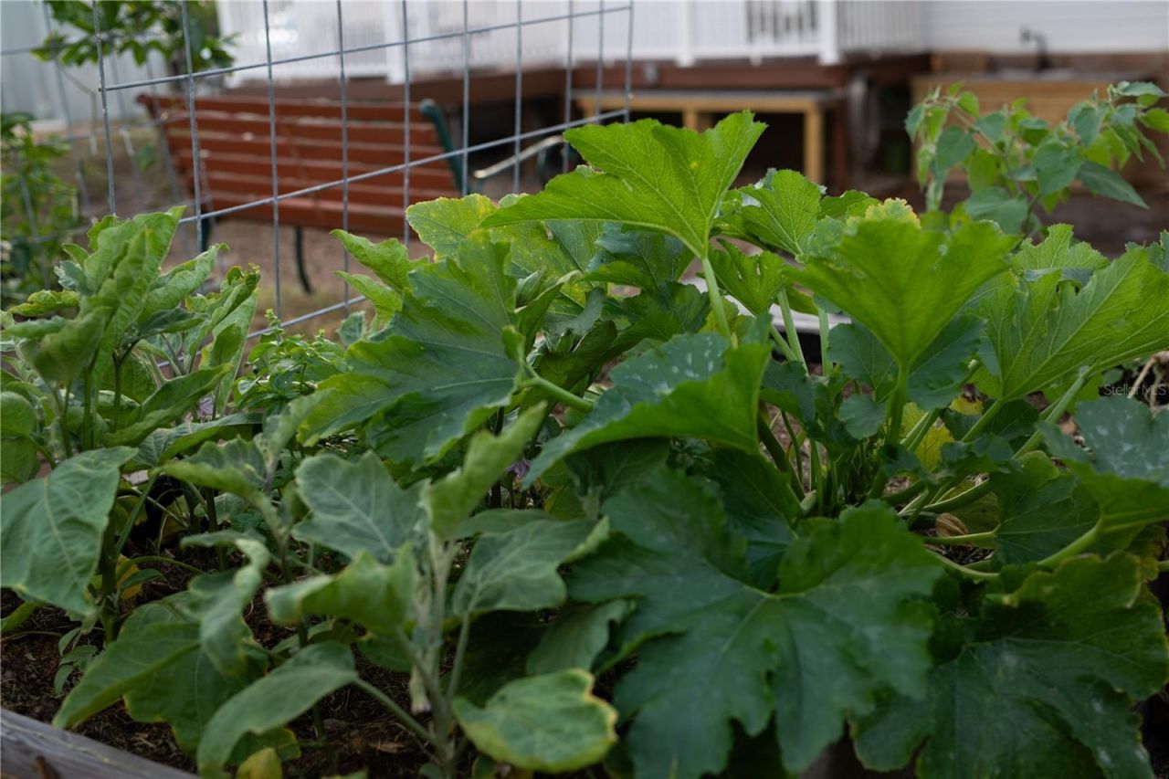 5516 Maze Drive, Punta Gorda, FL 33982 Photo